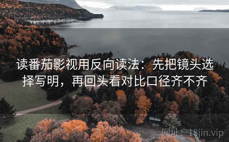 读番茄影视用反向读法：先把镜头选择写明，再回头看对比口径齐不齐