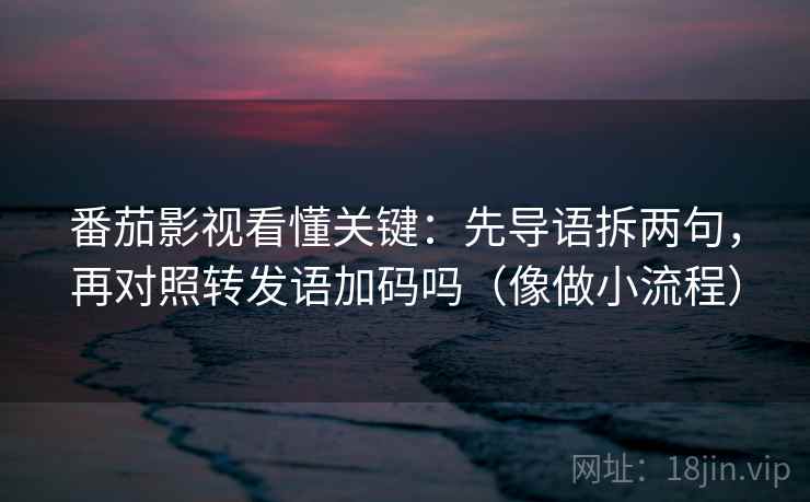 番茄影视看懂关键：先导语拆两句，再对照转发语加码吗（像做小流程）